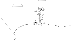 Tree Filled Mountains