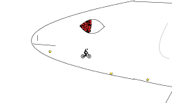 shark track