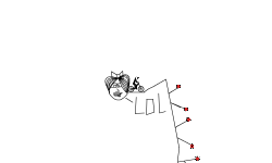 A HARD HOLD UP BMX