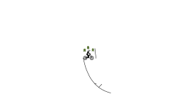 neat auto