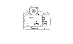 Canon Camera