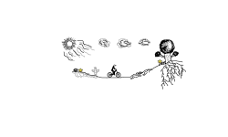 Desert to forest preview