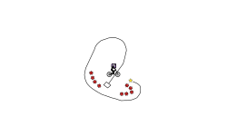 gtgg.15