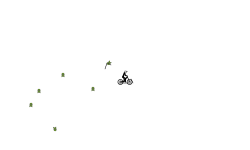 Speedy Auto