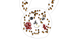 GUESS THAT POKEMON