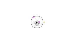 more circle fun