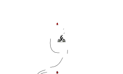 auto morph