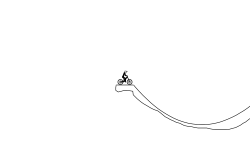 Trail