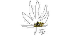 Smoke Weed Everyday