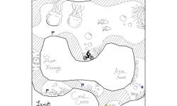 Pirates Plunge
