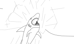 Shark