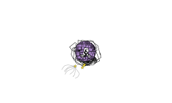 IT NSOD IS