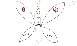 Sadistic Buterfly, like me