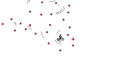 auto (desc)