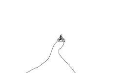 my track