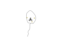 The balloon