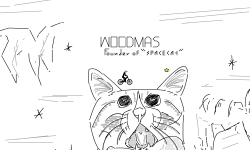 SPACE CAT