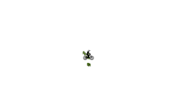 2nd don’t move