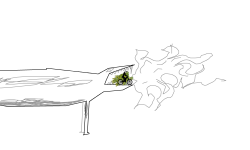 From Dinosaur, To Dinosaur