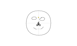 Face?