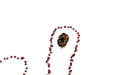 Heli bomb site