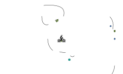 Random auto