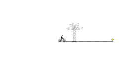Plam Tree