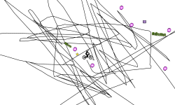 squiggle auto
