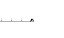 quick auto