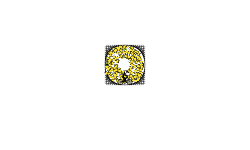 circle