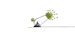human cannonball