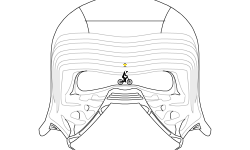 Kylo Ren