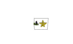 Big star