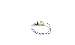 Circe