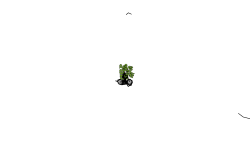 Fast Auto