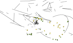 short track