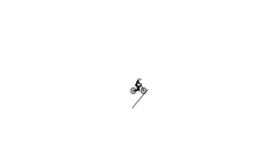 auto spins