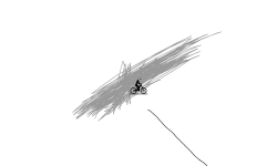 Todredrobs second trAck is thi