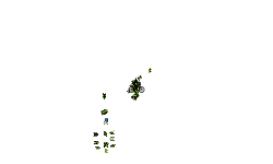 Yay! Aut0 (1)