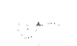 Small auto