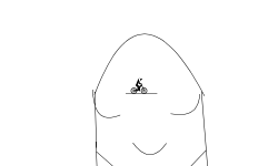 Squid