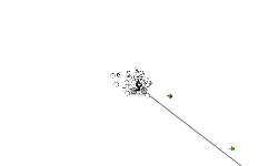 Slow Motion 4: The Finale