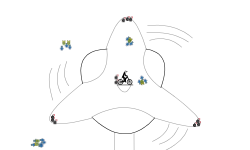 The fan