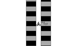 Gen Test