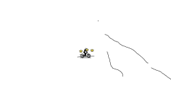 race