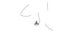 1st real brush