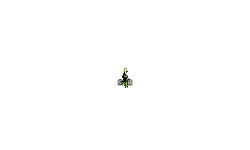 hard level