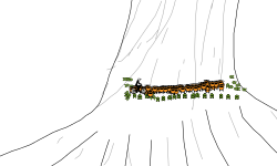 the soul of a tree
