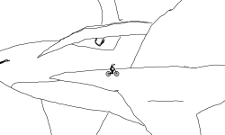 MEGA SALAMENCE HEAD!!!
