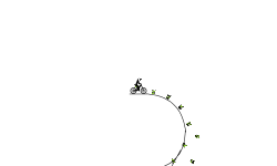 Ride the line (hard)